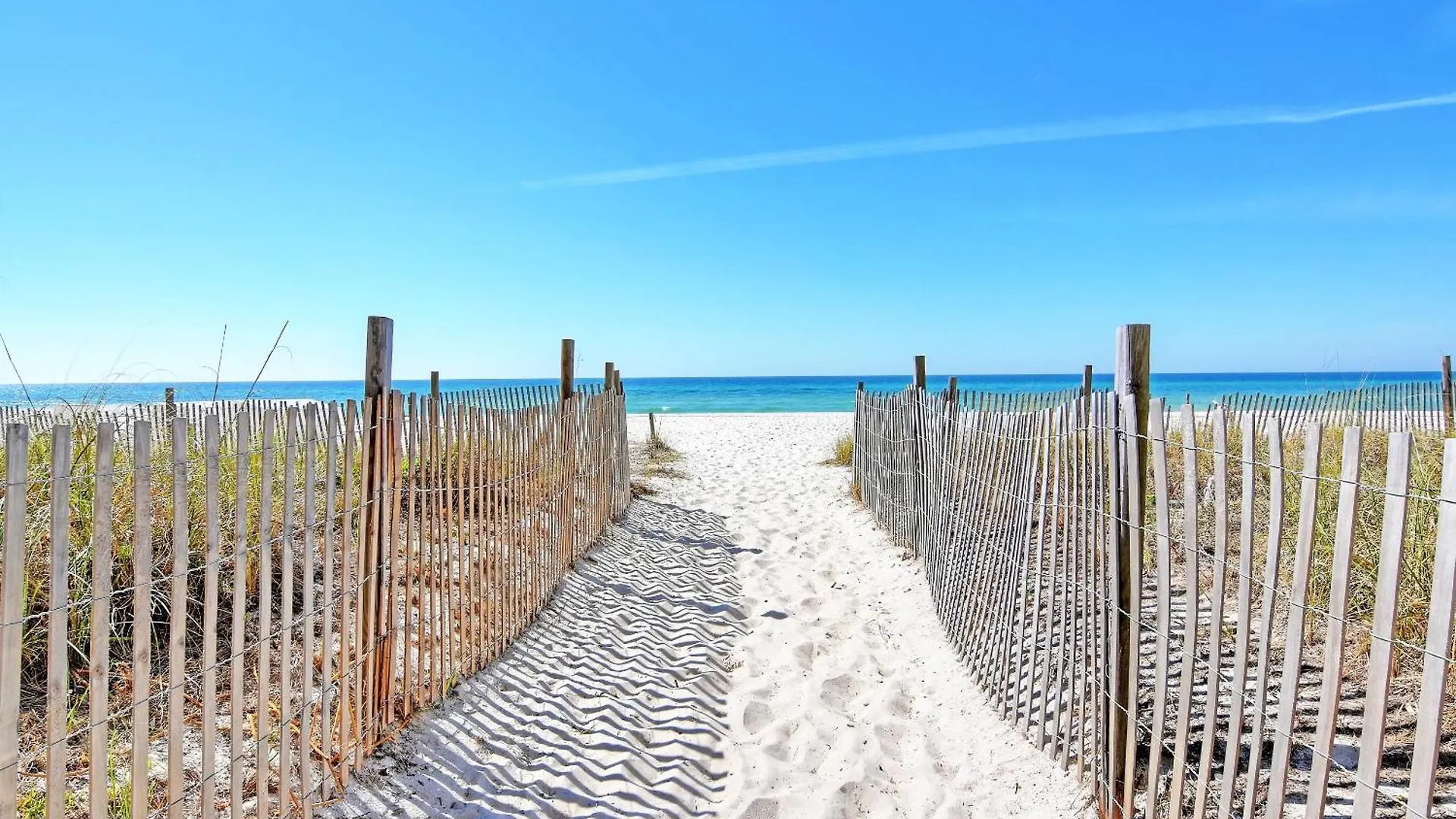 Long Beach Resort Tower II 1202 Panama City Beach Apartment